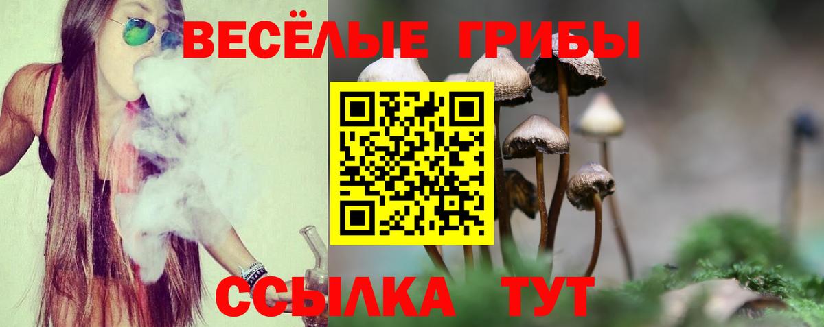 Галлюциногенные грибы прущие грибы Чайковский
