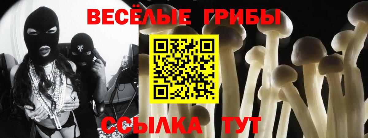 Псилоцибиновые грибы Psilocybe  Вход с VPN  Чайковский 