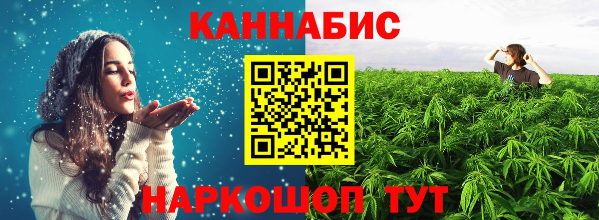 Конопля индика  Вход с VPN  Бошки Шишки Bruce Banner  Конопля планчик  Чайковский 